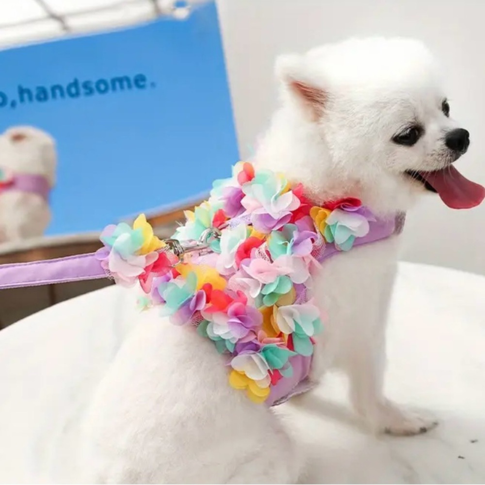 Floral Dog Harness - Multicolor